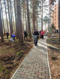 Ветераны Томска провели традиционный весенний субботник